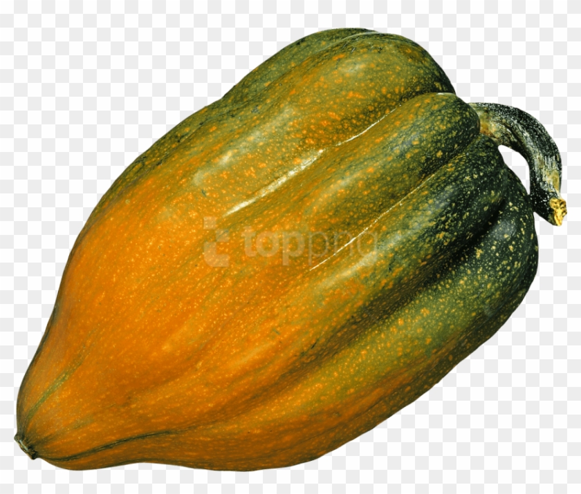 Free Png Pumpkin Png Images Transparent - Acorn Meaning In English Clipart #1756886