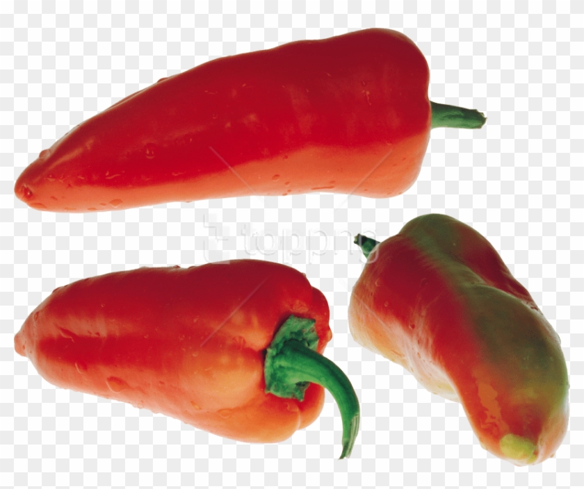 Free Png Download Red Pepper Png Images Background - Chili Pepper Clipart