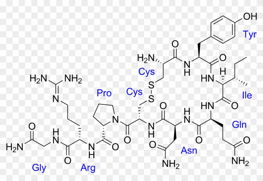 Vasotocin With Labels - Dopamine Serotonin Oxytocin And Endorphins Tattoo Clipart