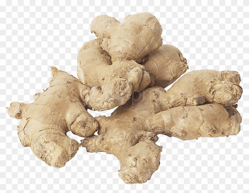 Free Png Ginger Png Images Transparent - Dried Ginger Png Clipart