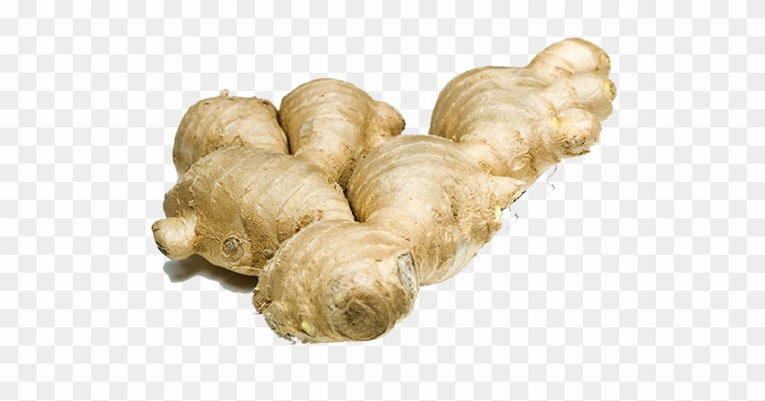 Ginger - Ginger Root Clipart #1757400