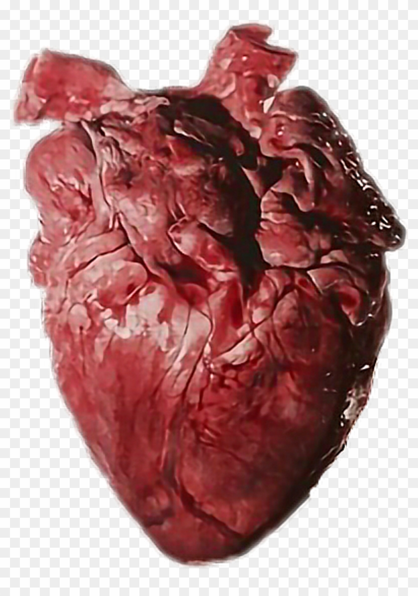 #brook #heart #corazon #real #imagine #human #brokenmyheart - Heart Organ Clipart