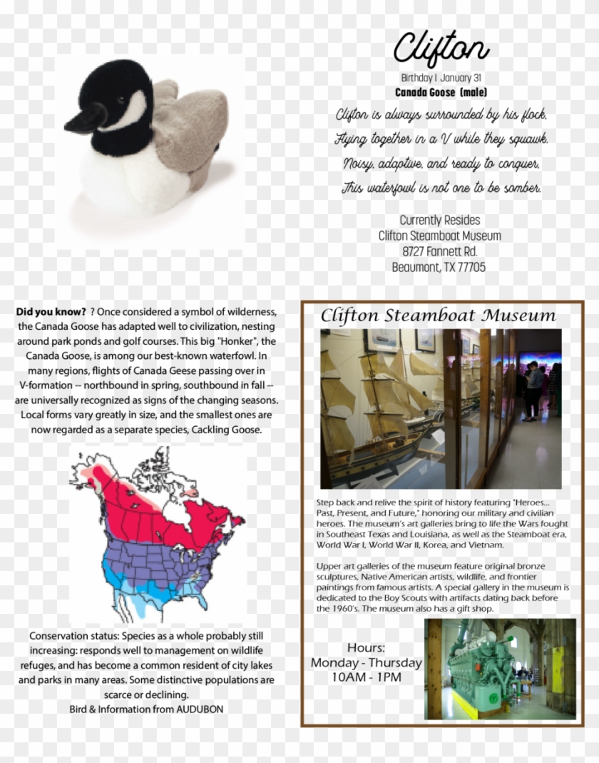 In This Section - Duck Clipart