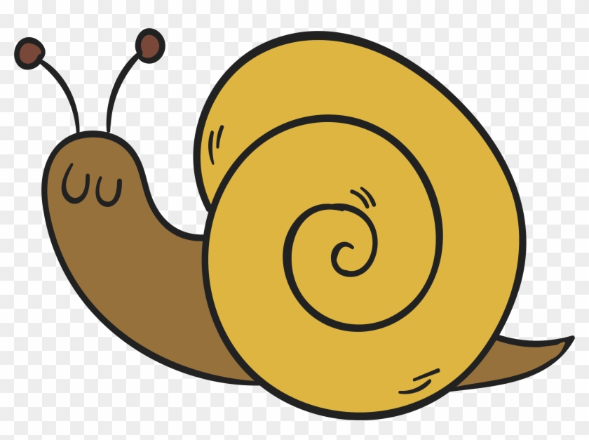 Mollusc Clipart Mango - Png Download #1759740