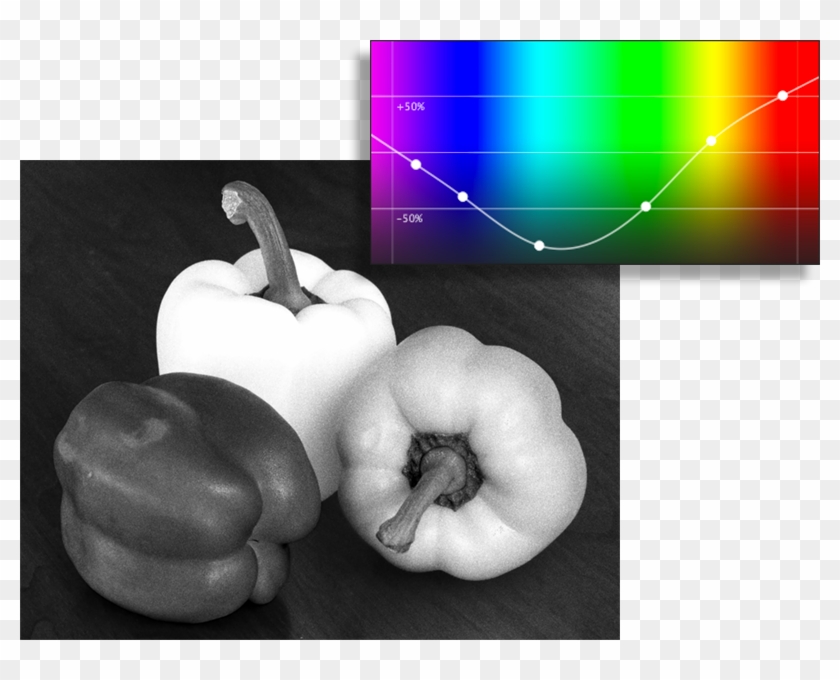 Example Of Normal Spectral Response Example Of Red - Winter Squash Clipart #1760897