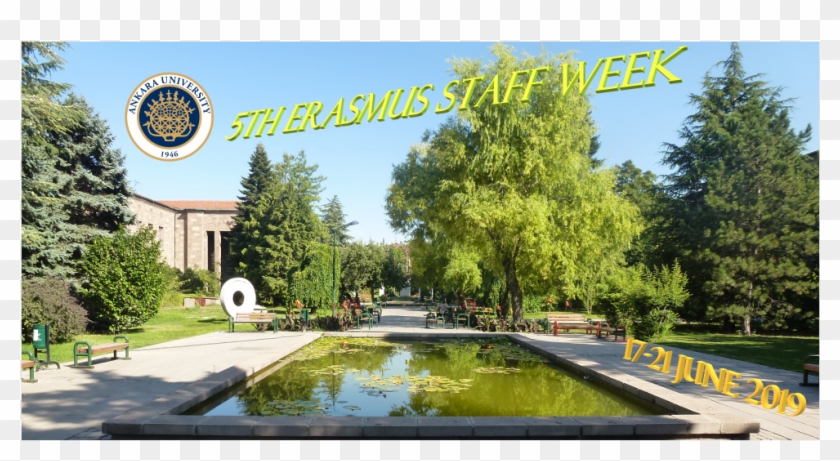 5 Staff Week - Reflecting Pool Clipart