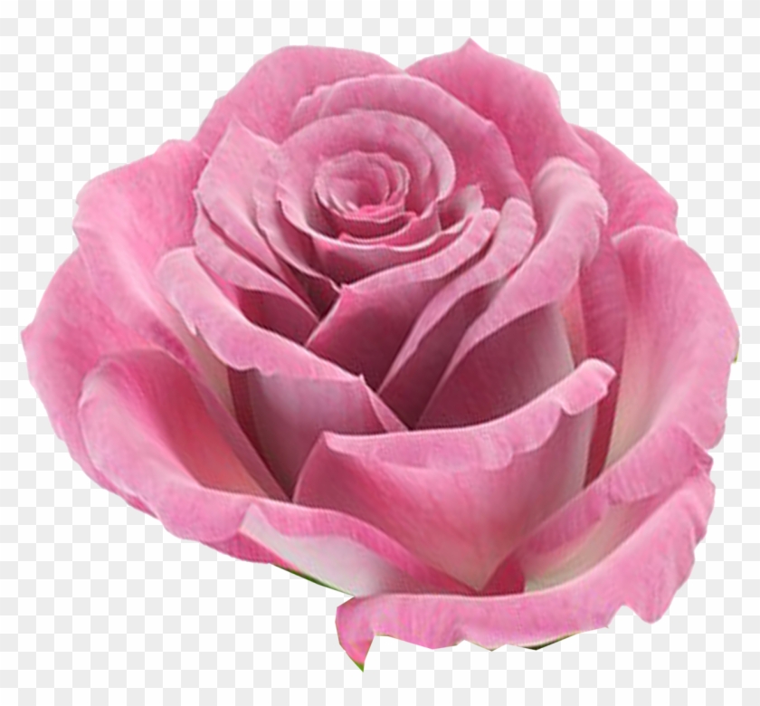 Flores Png Rosas - Significado De Las Flores Para Boda Clipart #1762053