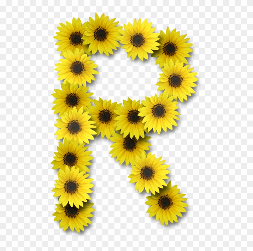 Alfabeto Sunflowers - Letter R Sunflower Design Clipart
