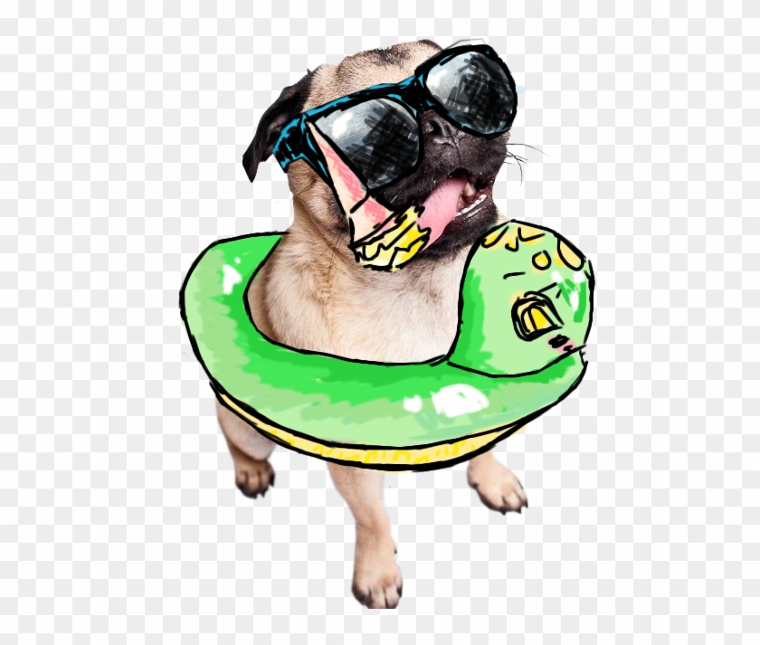 Drawn Transparent Summer Pug - Summer Pug Art Png Clipart #1762772