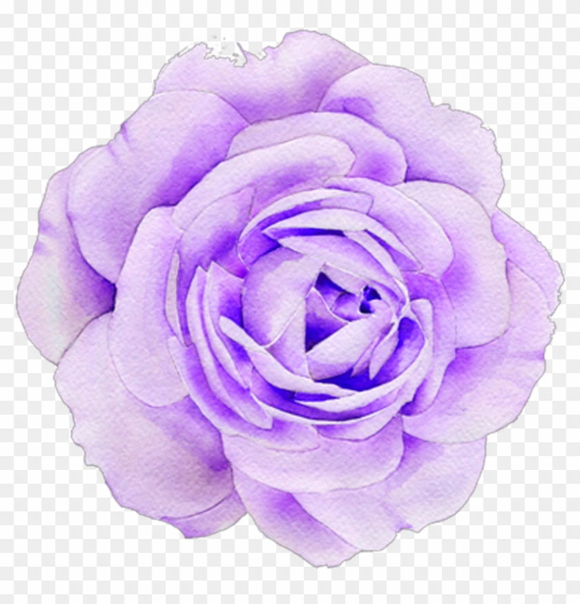 #purple #rose #roses #aesthetic #cute #tumblr - Flower Clipart #1762855