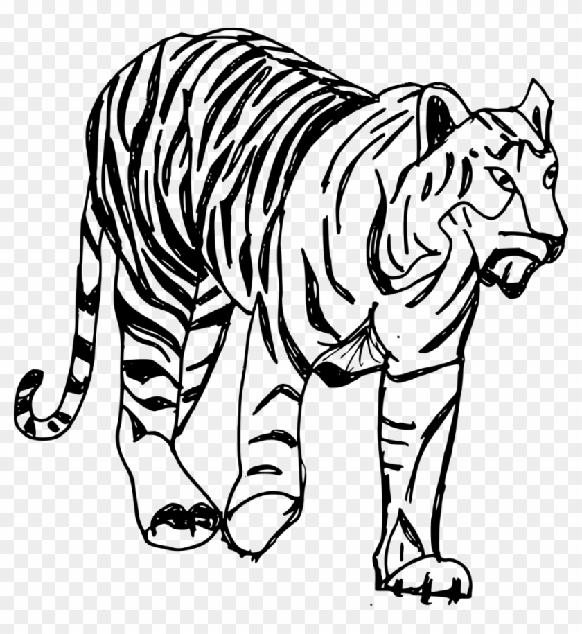 982 X 1024 3 - Tiger Drawing Clipart