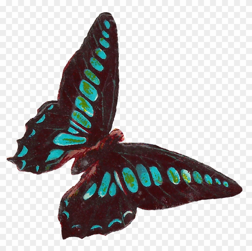 Digital Butterfly Moth Clip Art Downloads - Victorian Butterfly Clipart - Png Download #1764180