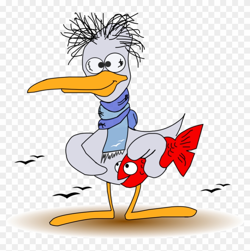 Funny Seagulls Cliparts - How's Your Day So Far - Png Download
