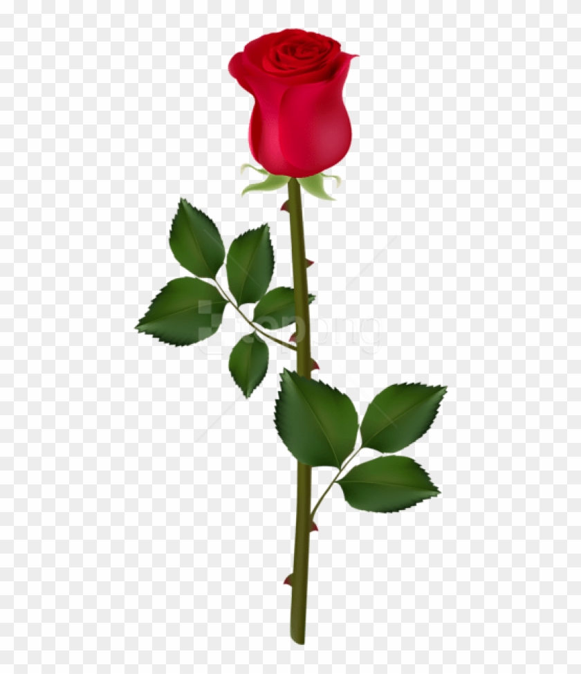 Free Png Download Red Rose Png Images Background Png - Red Rose Png Logo Clipart