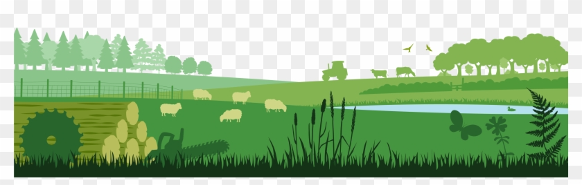 5000 X 1358 0 - Farm Footer Png Clipart