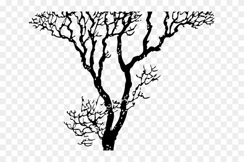 Tree Line Art - Tree Black And White Image Clipart - Png Download #1766711