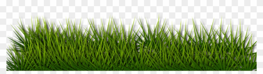This Free Icons Png Design Of Grass 2 Clipart #1767252