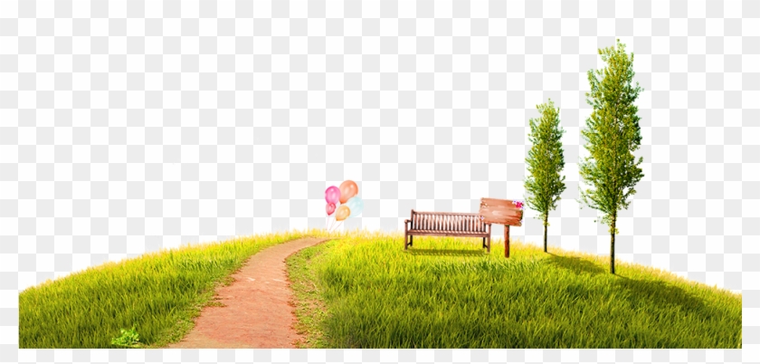 Park Png Hd Photo - สวน สาธารณะ สนาม หญ้า Clipart