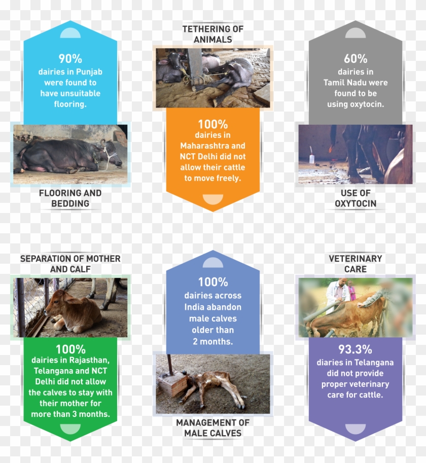 Pest Clipart #1768943