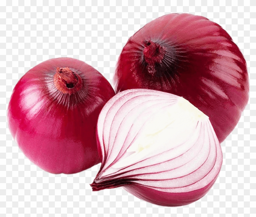 Brinjal Png Download - Onion Png Clipart #1769274