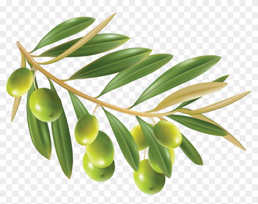 Olive Png Clipart #1769395