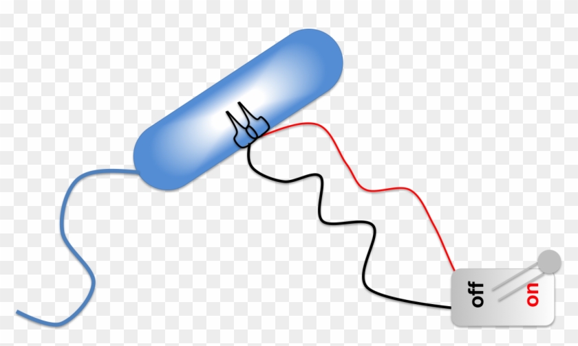 Bacterial Kill Switch Clipart