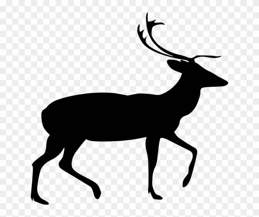 Stag Clip Art - Png Download