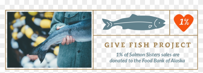 Marine Mammal Clipart