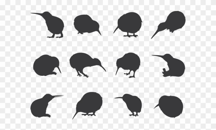 Bird Silhouettes Png - Kiwi Bird Vector Free Clipart