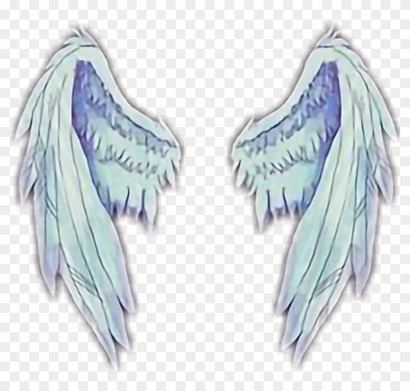 Wings Sticker - Patch Cipriano Travis Maddox Clipart #1773126
