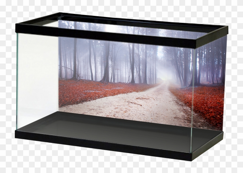 Red Leafy Forest Path Clipart #1773180