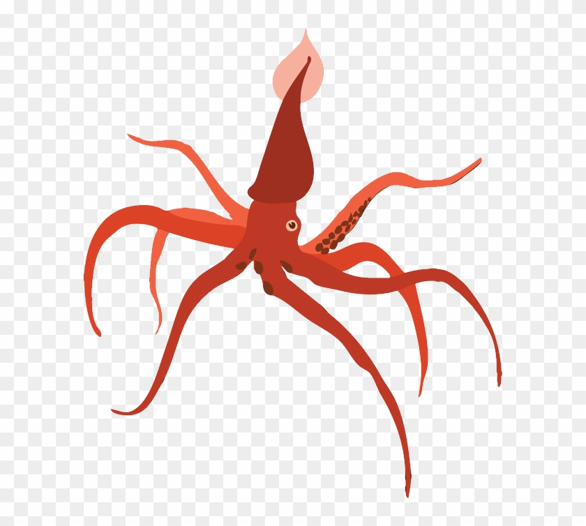 Octopus Clipart #1773263