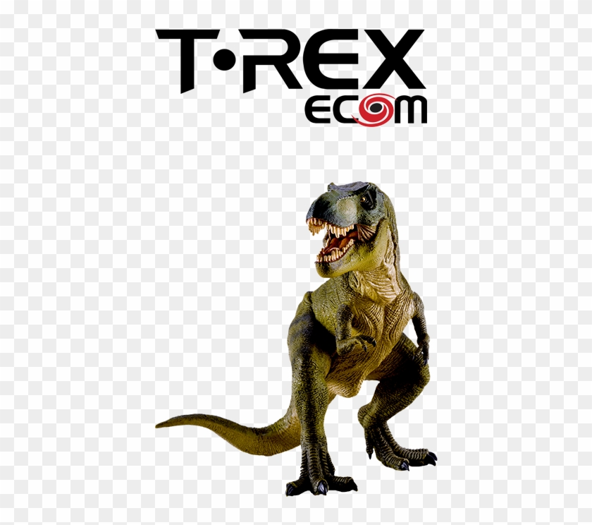 T-rexecom Logo - Tyrannosaurus Clipart