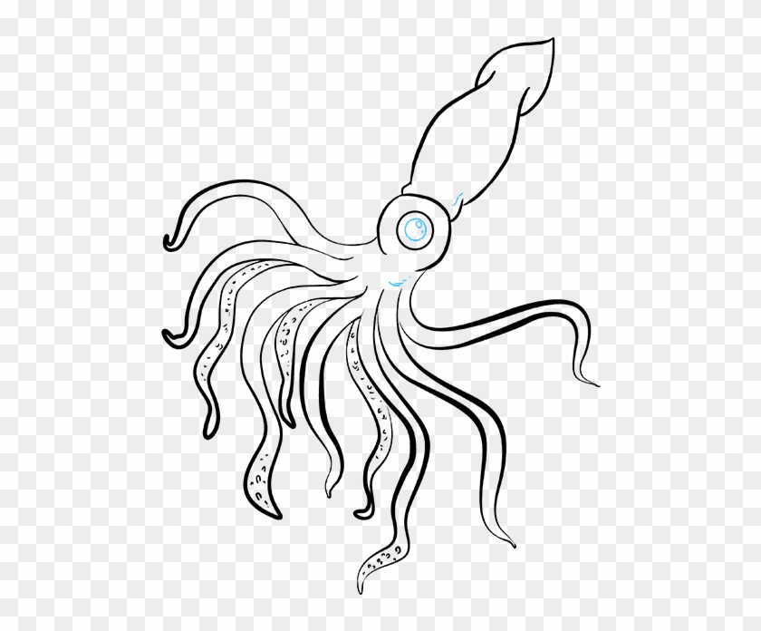 How To Draw A Really Easy Tutorial - Draw A Squid Clipart #1773351
