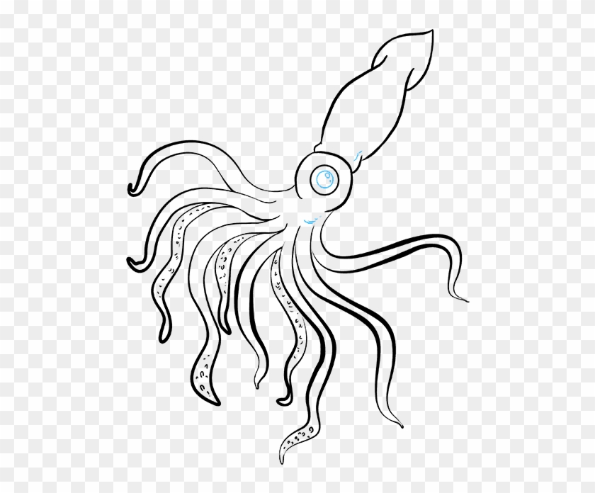 How To Draw A Really Easy Tutorial - Draw A Squid Clipart