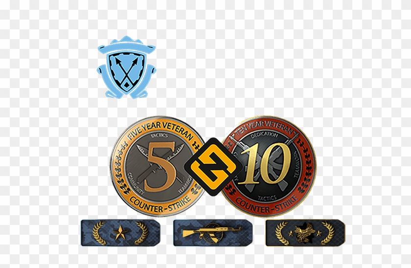 Csgo 5 & 10 Year Veteran Coin Ranked Prime Accounts - 10 Years Csgo Clipart