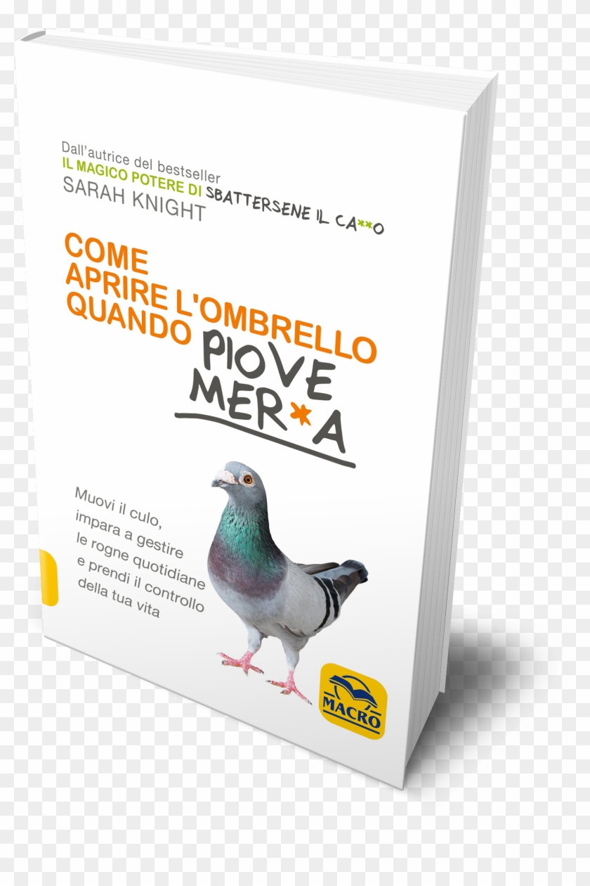 Macro Librarsi - Duck Clipart