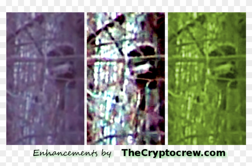 Bigfoot Caught On Game Camera - Art Clipart