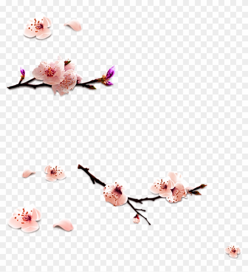 Cherry Blossom Pattern - Cherry Blossom Clipart #1775599