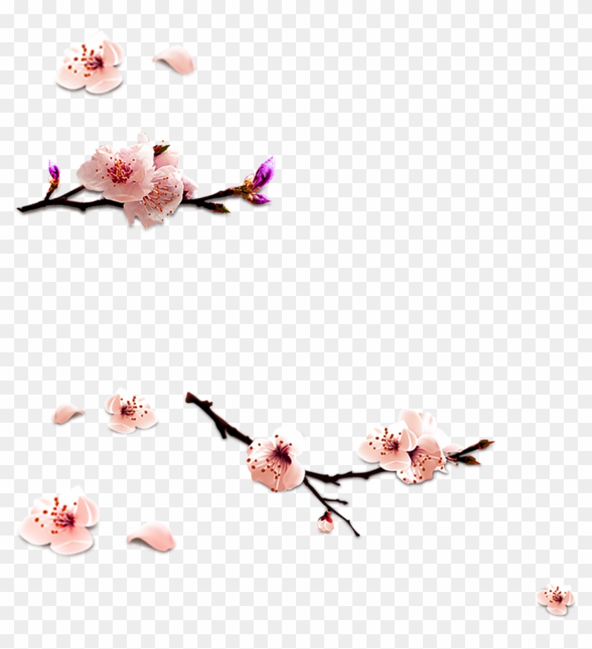 Cherry Blossom Pattern - Cherry Blossom Clipart