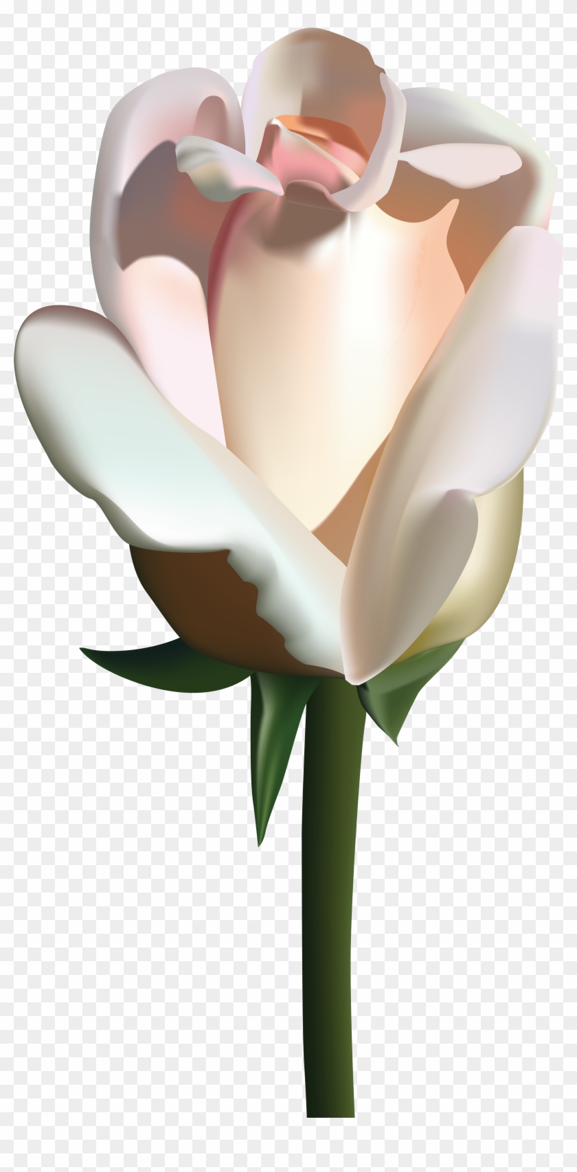 White Rose Png Clip Art Image - Roses Vector Transparent Png #1775619