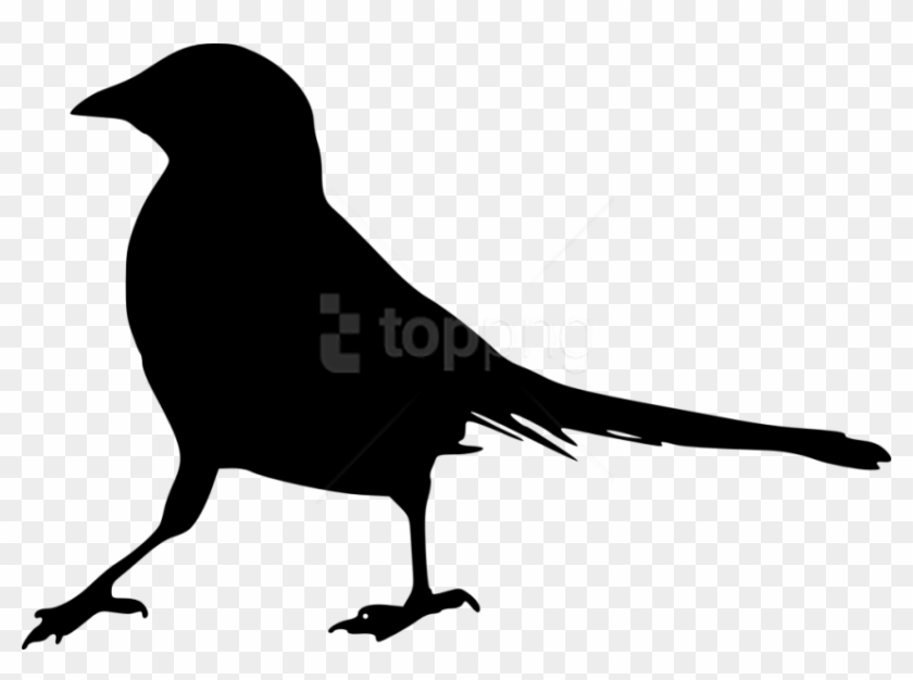 Free Png Bird Silhouette Png - Bird Silhouette Transparent Background Clipart #1776203