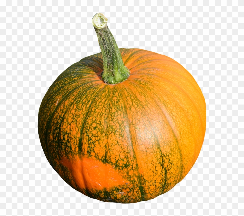Cocumber Vegetable Fruit - Pumpkin Clipart