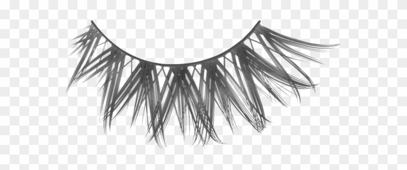 Eyelash Clipart