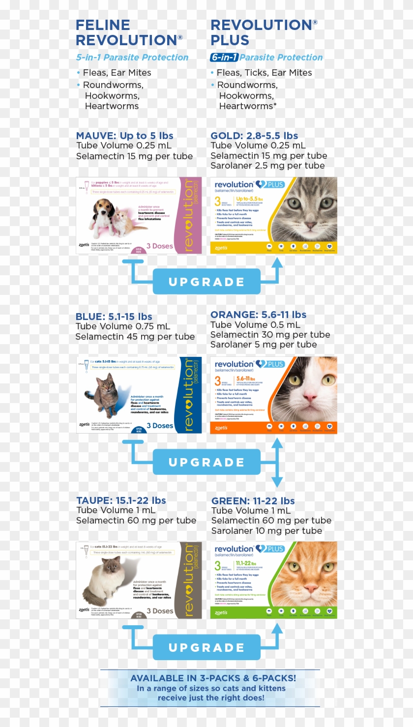 6 In 1 Protection Upgrade - Revolution For Cats Clipart #1778530