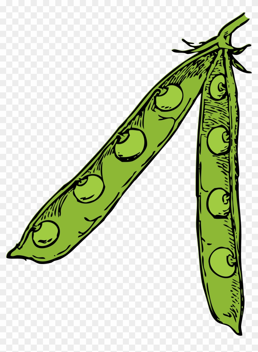 This Free Icons Png Design Of Pea Pod Clipart