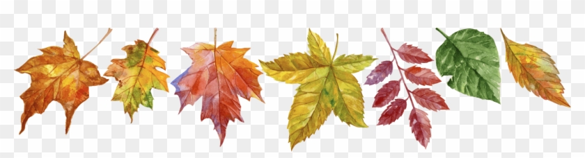Falling Leaves - Maple Leaf Clipart