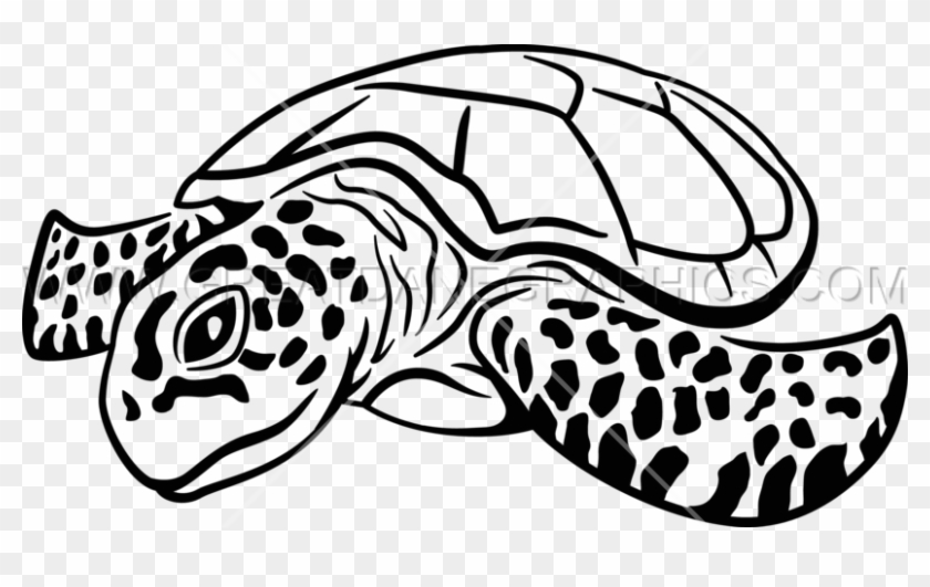 Drawn Sea Turtle Screen Print - Sea Turtle Line Art Clipart