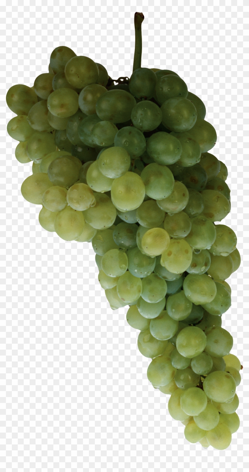 Green Grapes - Grape Clipart #1780278