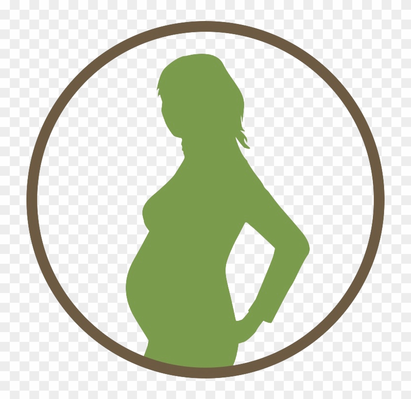 Download Png Image Report - Pregnancy Image Hd Clipart #1781605